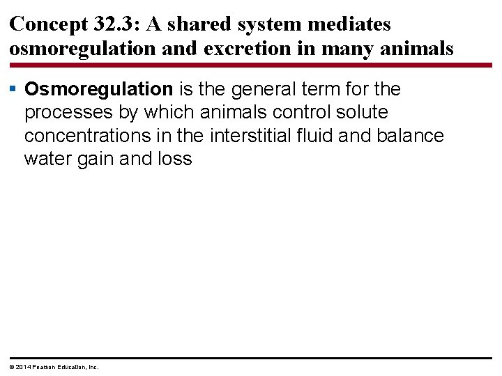 Concept 32. 3: A shared system mediates osmoregulation and excretion in many animals §