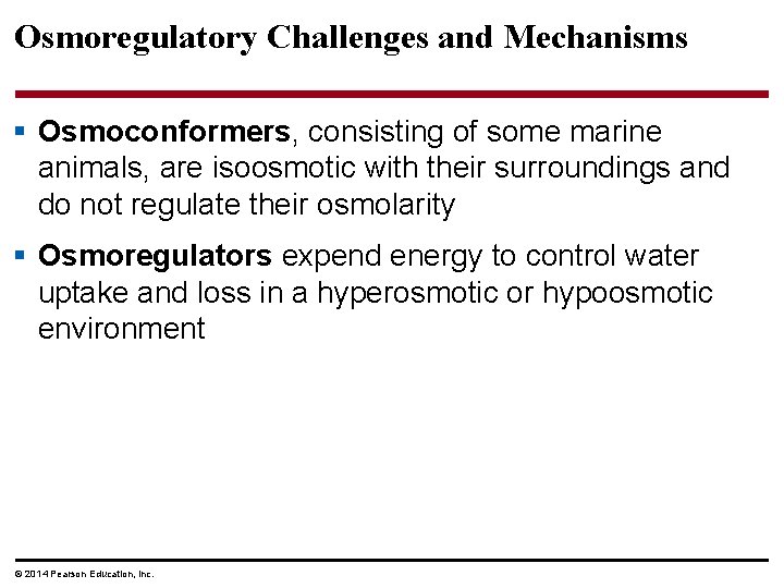 Osmoregulatory Challenges and Mechanisms § Osmoconformers, consisting of some marine animals, are isoosmotic with