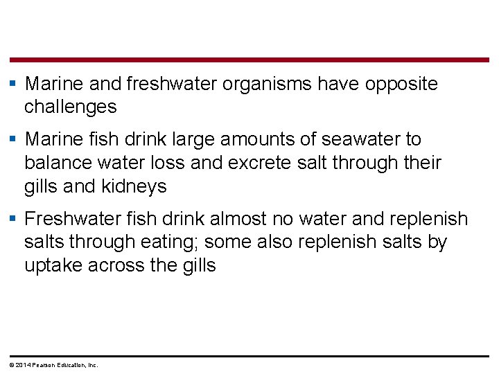 § Marine and freshwater organisms have opposite challenges § Marine fish drink large amounts