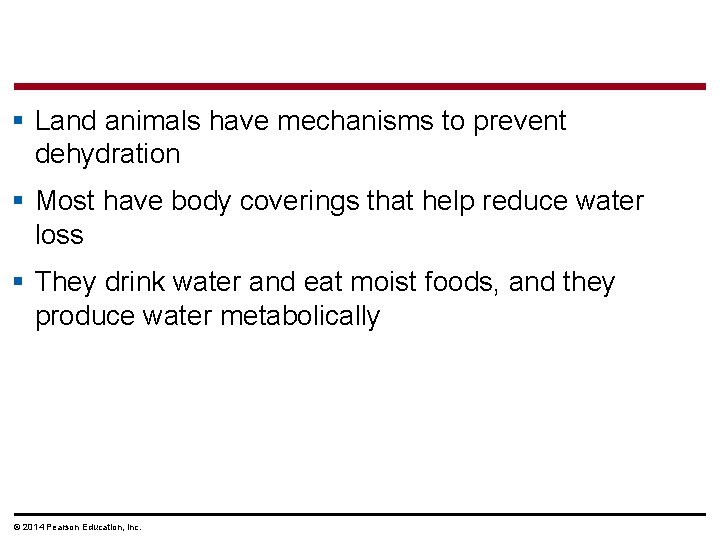 § Land animals have mechanisms to prevent dehydration § Most have body coverings that