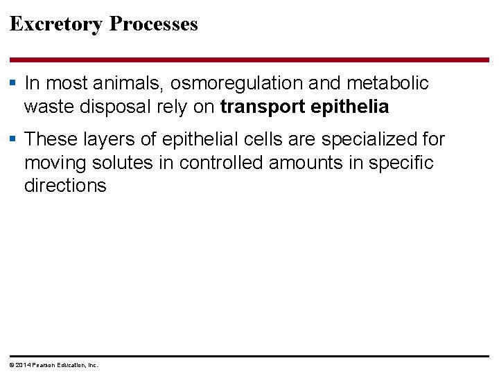 Excretory Processes § In most animals, osmoregulation and metabolic waste disposal rely on transport