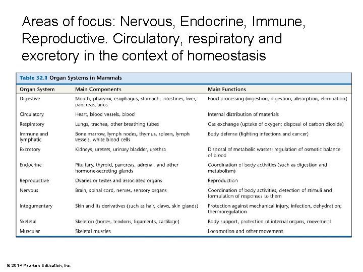 Areas of focus: Nervous, Endocrine, Immune, Reproductive. Circulatory, respiratory and excretory in the context