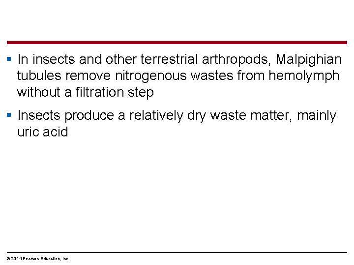 § In insects and other terrestrial arthropods, Malpighian tubules remove nitrogenous wastes from hemolymph