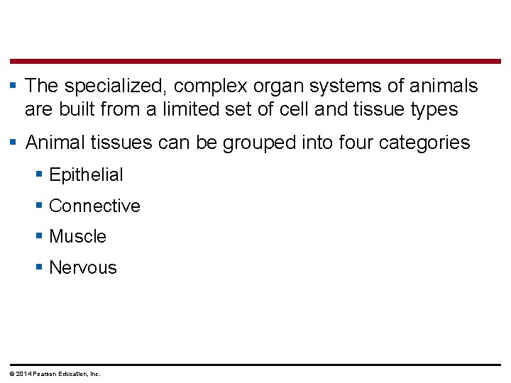 § The specialized, complex organ systems of animals are built from a limited set