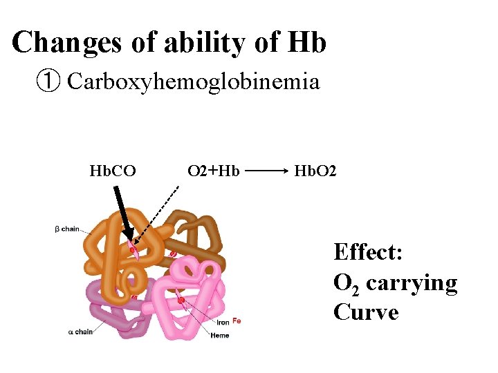 Changes of ability of Hb ① Carboxyhemoglobinemia Hb. CO O 2+Hb Hb. O 2