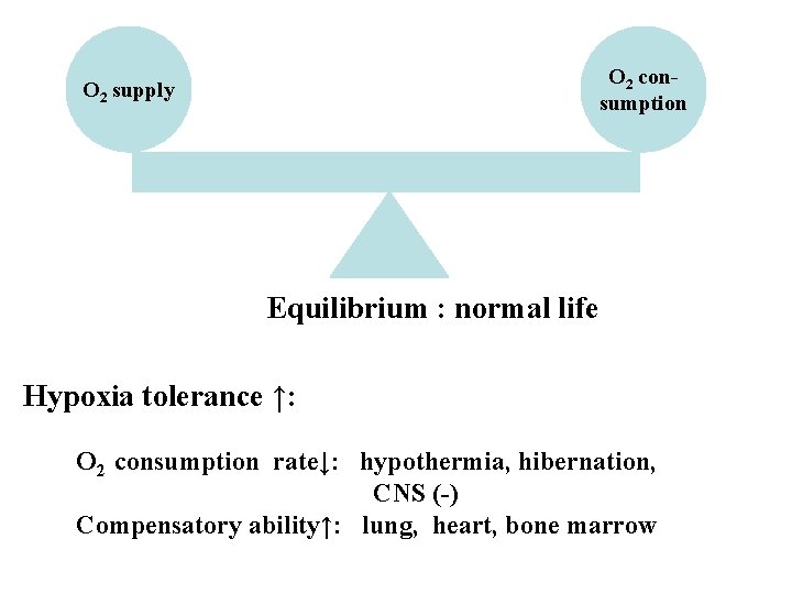 O 2 consumption O 2 supply Equilibrium : normal life Hypoxia tolerance ↑: O