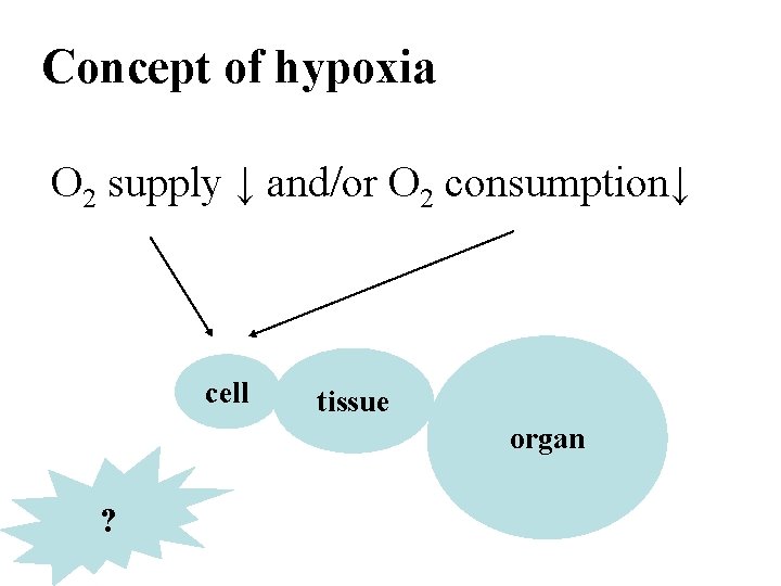 Concept of hypoxia O 2 supply ↓ and/or O 2 consumption↓ cell tissue organ