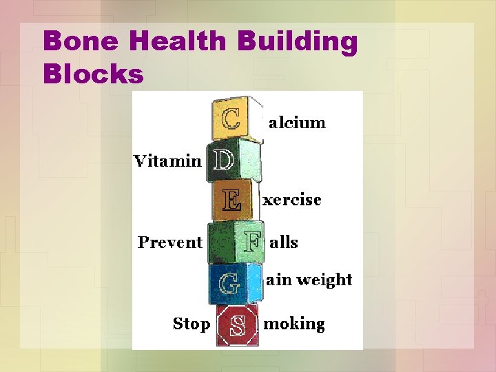 Bone Health Building Blocks 