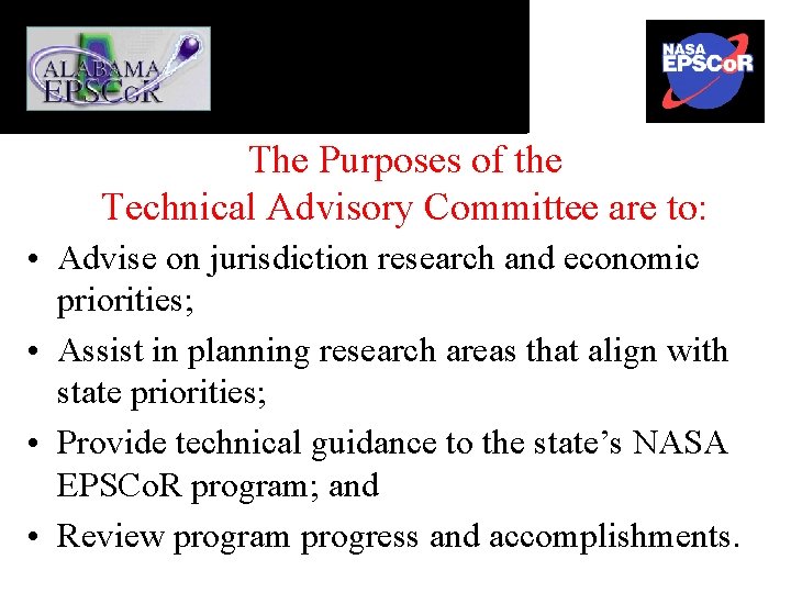 The Purposes of the Technical Advisory Committee are to: • Advise on jurisdiction research