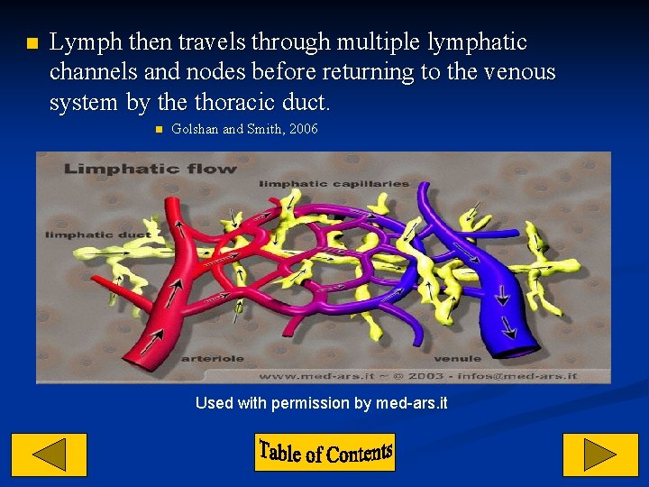 n Lymph then travels through multiple lymphatic channels and nodes before returning to the