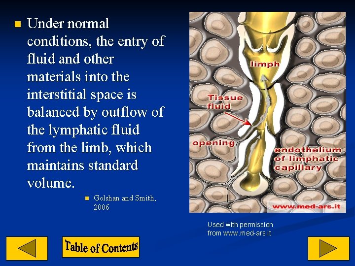 n Under normal conditions, the entry of fluid and other materials into the interstitial