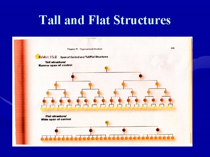 Tall and Flat Structures 