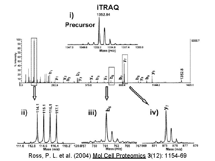 i. TRAQ Ross, P. L. et al. (2004) Mol Cell Proteomics 3(12): 1154 -69