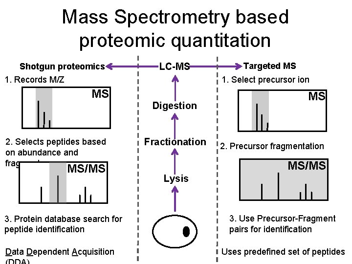 Mass Spectrometry based proteomic quantitation Shotgun proteomics LC-MS 1. Records M/Z Targeted MS 1.