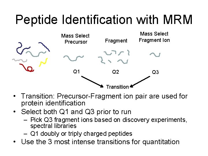Peptide Identification with MRM Mass Select Precursor Fragment Mass Select Fragment Ion Q 1