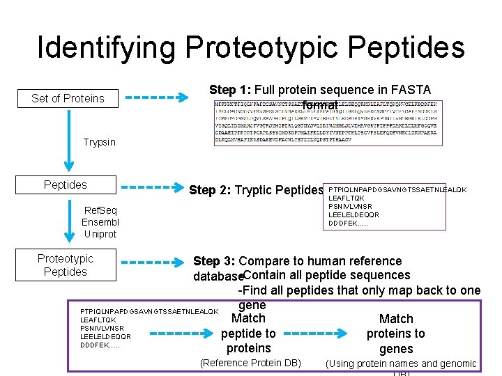 Identifying Proteotypic Peptides Set of Proteins Step 1: Full protein sequence in FASTA format