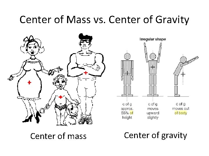 Center of Mass vs. Center of Gravity Center of mass Center of gravity 