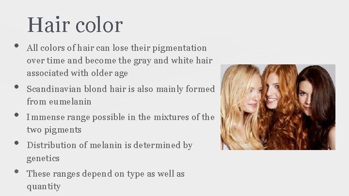 Hair color • • • All colors of hair can lose their pigmentation over