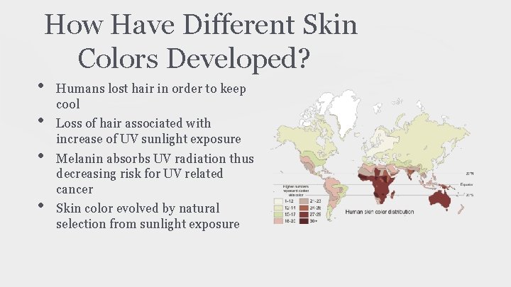 How Have Different Skin Colors Developed? • • Humans lost hair in order to