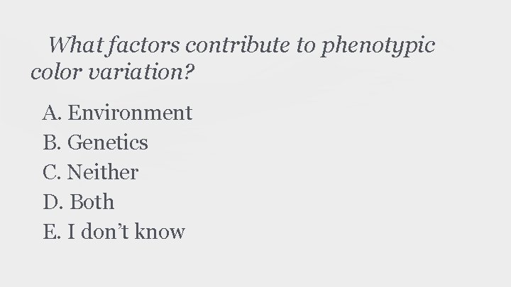 What factors contribute to phenotypic color variation? A. Environment B. Genetics C. Neither D.