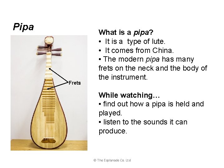 Pipa Frets What is a pipa? • It is a type of lute. •