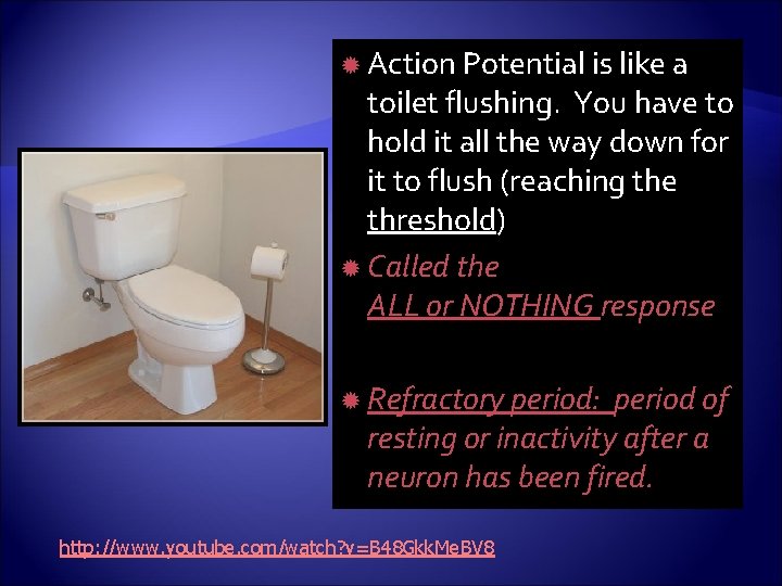  Action Potential is like a toilet flushing. You have to hold it all