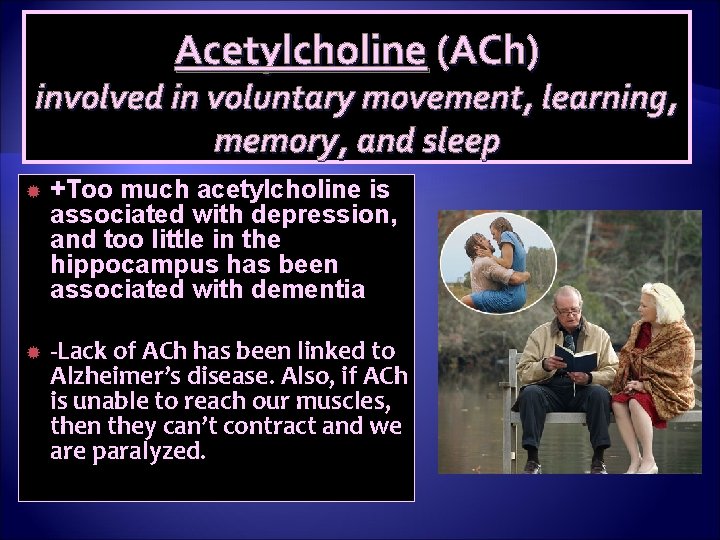 Acetylcholine (ACh) involved in voluntary movement, learning, memory, and sleep +Too much acetylcholine is