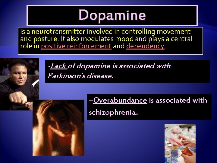 Dopamine is a neurotransmitter involved in controlling movement and posture. It also modulates mood