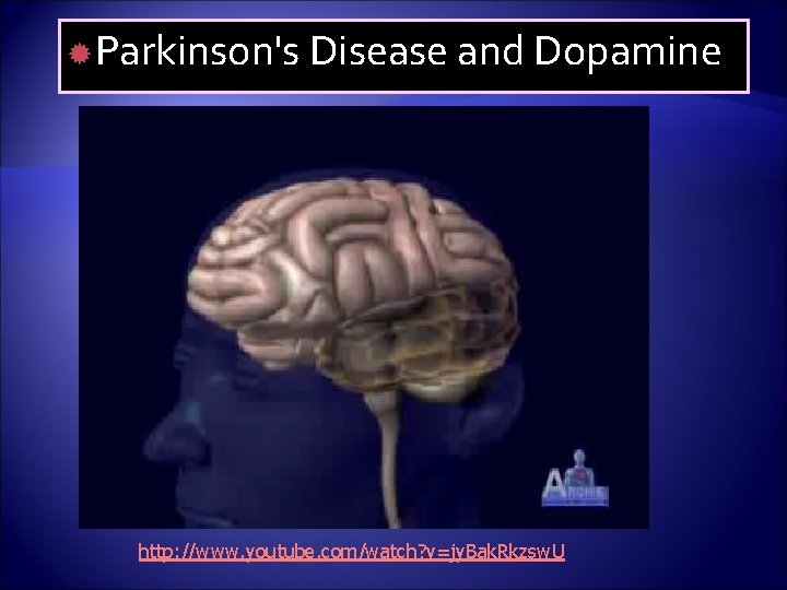  Parkinson's Disease and Dopamine http: //www. youtube. com/watch? v=jy. Bak. Rkzsw. U 