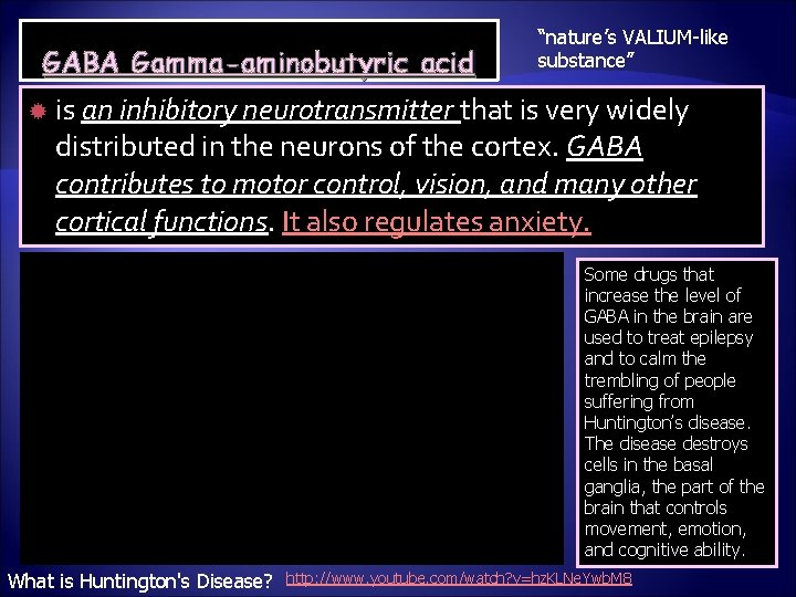 GABA Gamma-aminobutyric acid “nature’s VALIUM-like substance” is an inhibitory neurotransmitter that is very widely