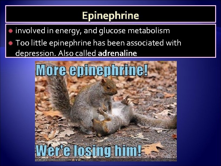 Epinephrine involved in energy, and glucose metabolism Too little epinephrine has been associated with
