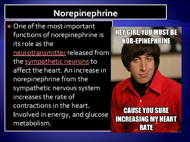 Norepinephrine One of the most important functions of norepinephrine is its role as the