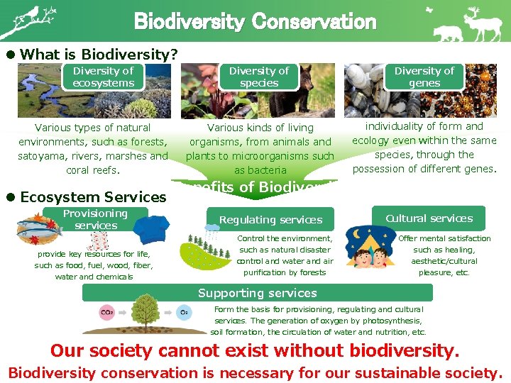 Biodiversity Conservation l What is Biodiversity? Diversity of ecosystems Various types of natural environments,