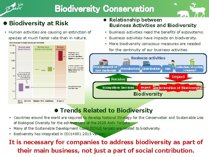 Biodiversity Conservation l Biodiversity at Risk • Human activities are causing an extinction of