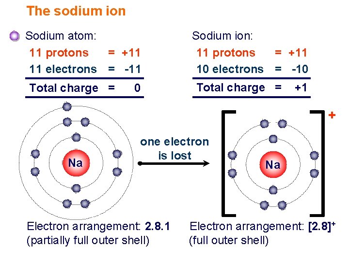 The sodium ion Sodium atom: 11 protons = +11 11 electrons = -11 Total