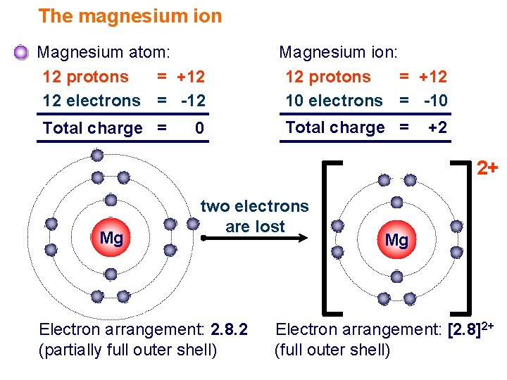The magnesium ion Magnesium atom: 12 protons = +12 12 electrons = -12 Total