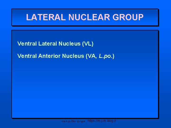 LATERAL NUCLEAR GROUP Ventral Lateral Nucleus (VL) Ventral Anterior Nucleus (VA, L. po. )