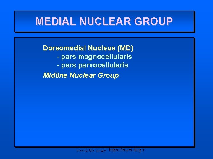 MEDIAL NUCLEAR GROUP Dorsomedial Nucleus (MD) - pars magnocellularis - pars parvocellularis Midline Nuclear