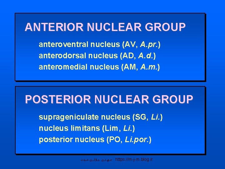 ANTERIOR NUCLEAR GROUP anteroventral nucleus (AV, A. pr. ) anterodorsal nucleus (AD, A. d.