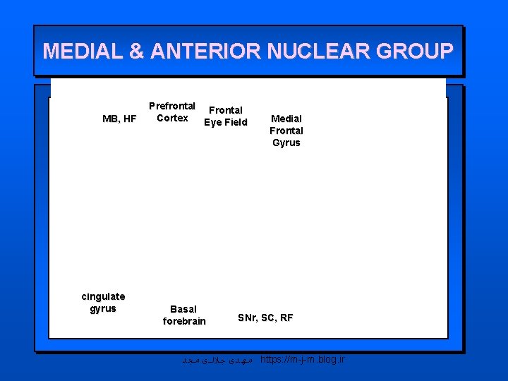 MEDIAL & ANTERIOR NUCLEAR GROUP MB, HF cingulate gyrus Prefrontal Frontal Cortex Eye Field