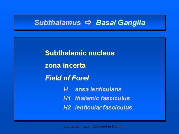 Subthalamus Basal Ganglia Subthalamic nucleus zona incerta Field of Forel H H 1 ansa