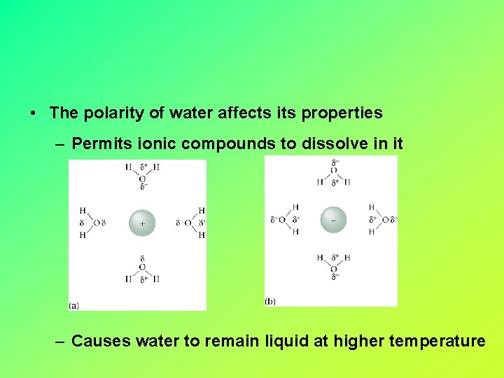  • The polarity of water affects its properties – Permits ionic compounds to