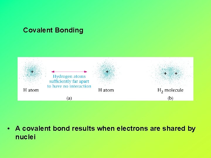 Covalent Bonding • A covalent bond results when electrons are shared by nuclei 