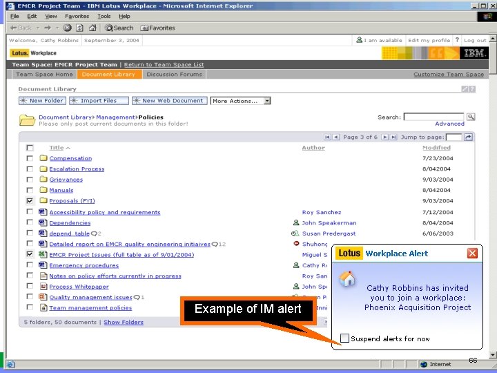 IBM Software Example of IM alert 66 