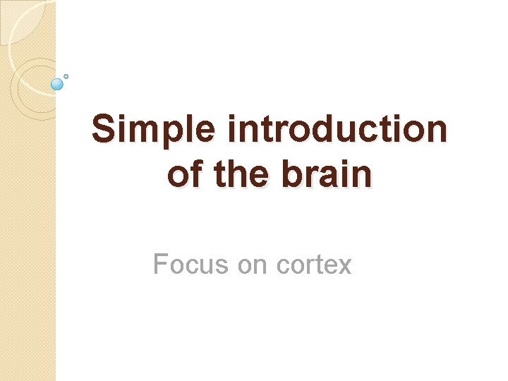 Simple introduction of the brain Focus on cortex 