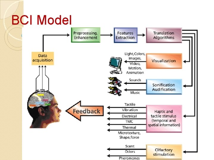 BCI Model 