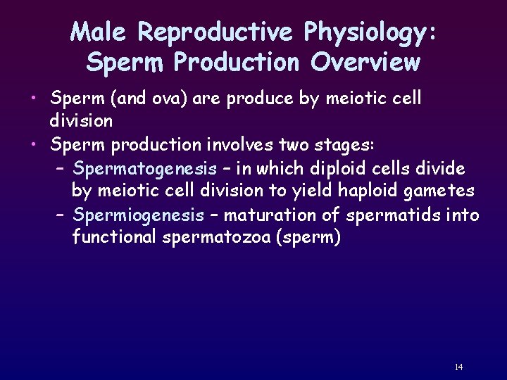 Male Reproductive Physiology: Sperm Production Overview • Sperm (and ova) are produce by meiotic