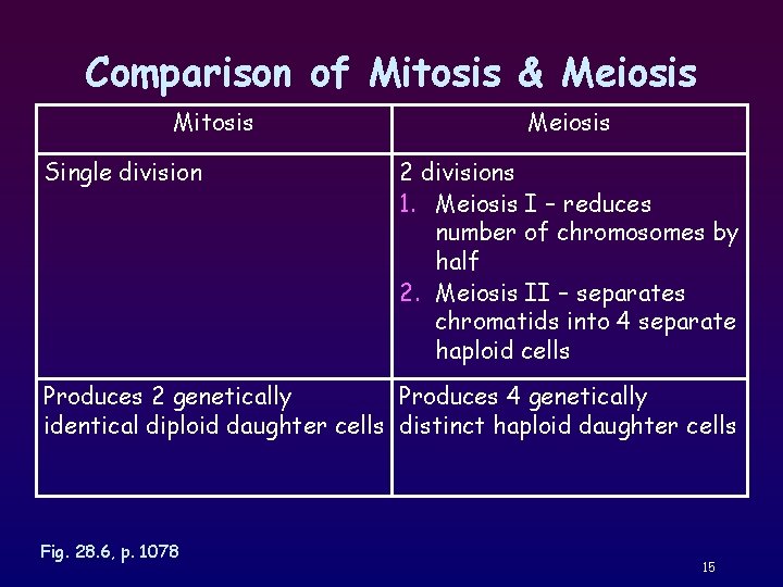 Comparison of Mitosis & Meiosis Mitosis Single division Meiosis 2 divisions 1. Meiosis I