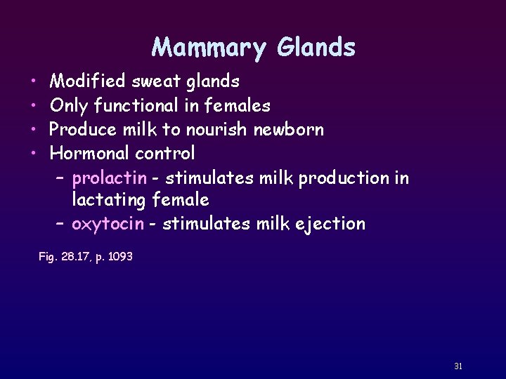 Mammary Glands • • Modified sweat glands Only functional in females Produce milk to