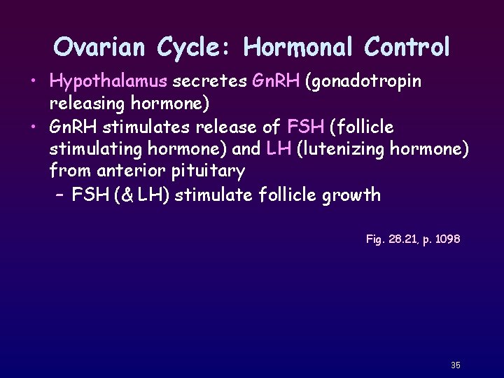 Ovarian Cycle: Hormonal Control • Hypothalamus secretes Gn. RH (gonadotropin releasing hormone) • Gn.